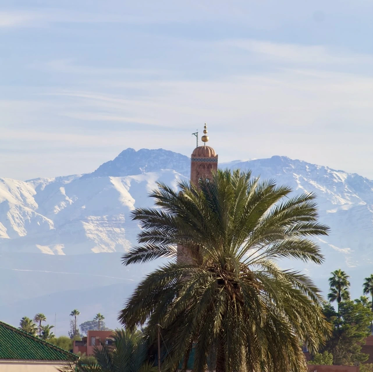 Vue de Marrakech et de l'Atlas